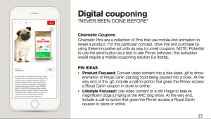 Pinterest Advertising Digital-Couponing